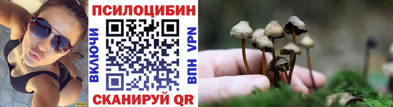 MEGA зеркало  Александровск  Псилоцибиновые грибы мухоморы 
