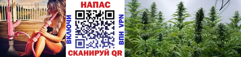 Конопля Ganja  MEGA вход  площадка формула  дарнет шоп  Александровск 